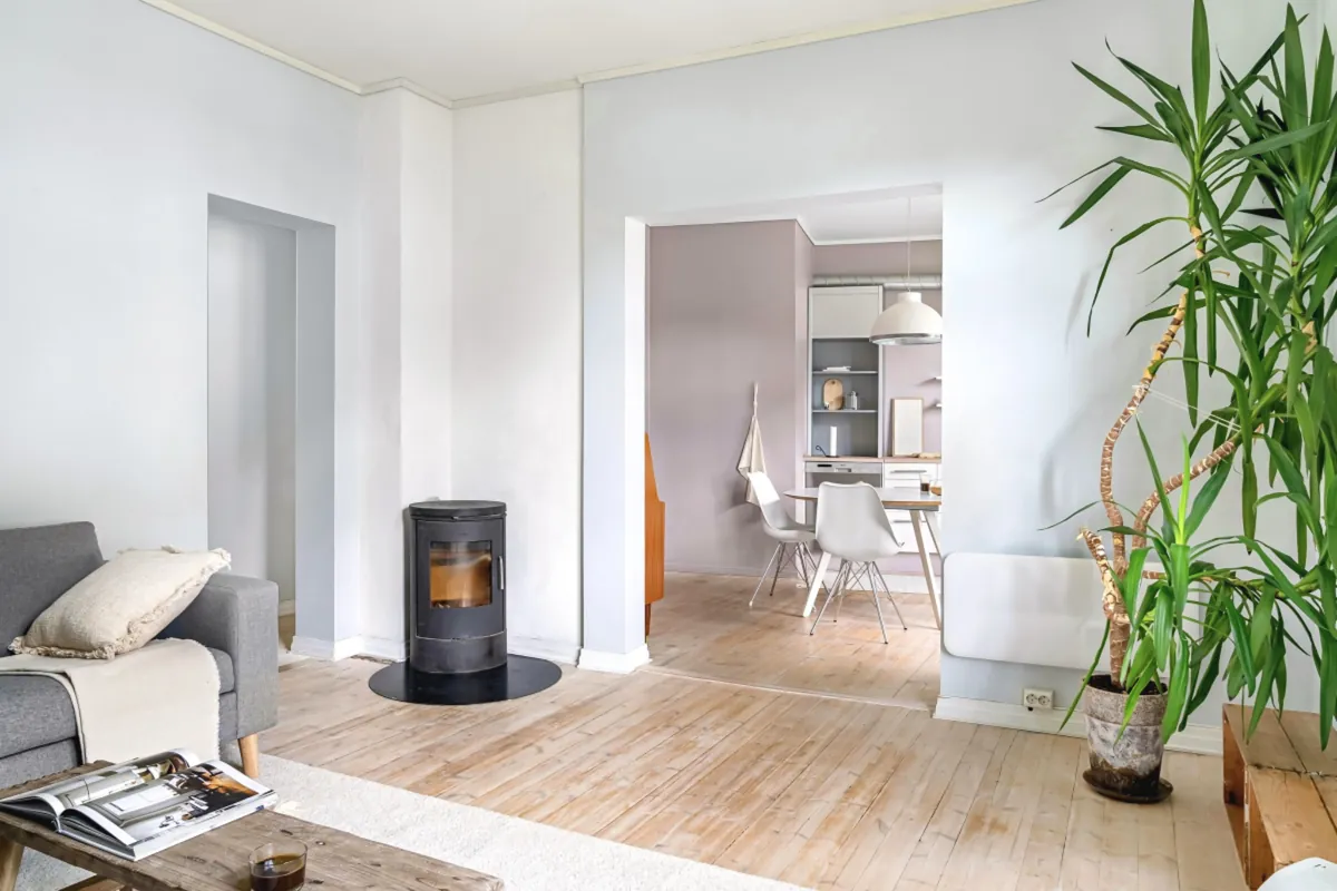 Bright living room with open space and indoor plant