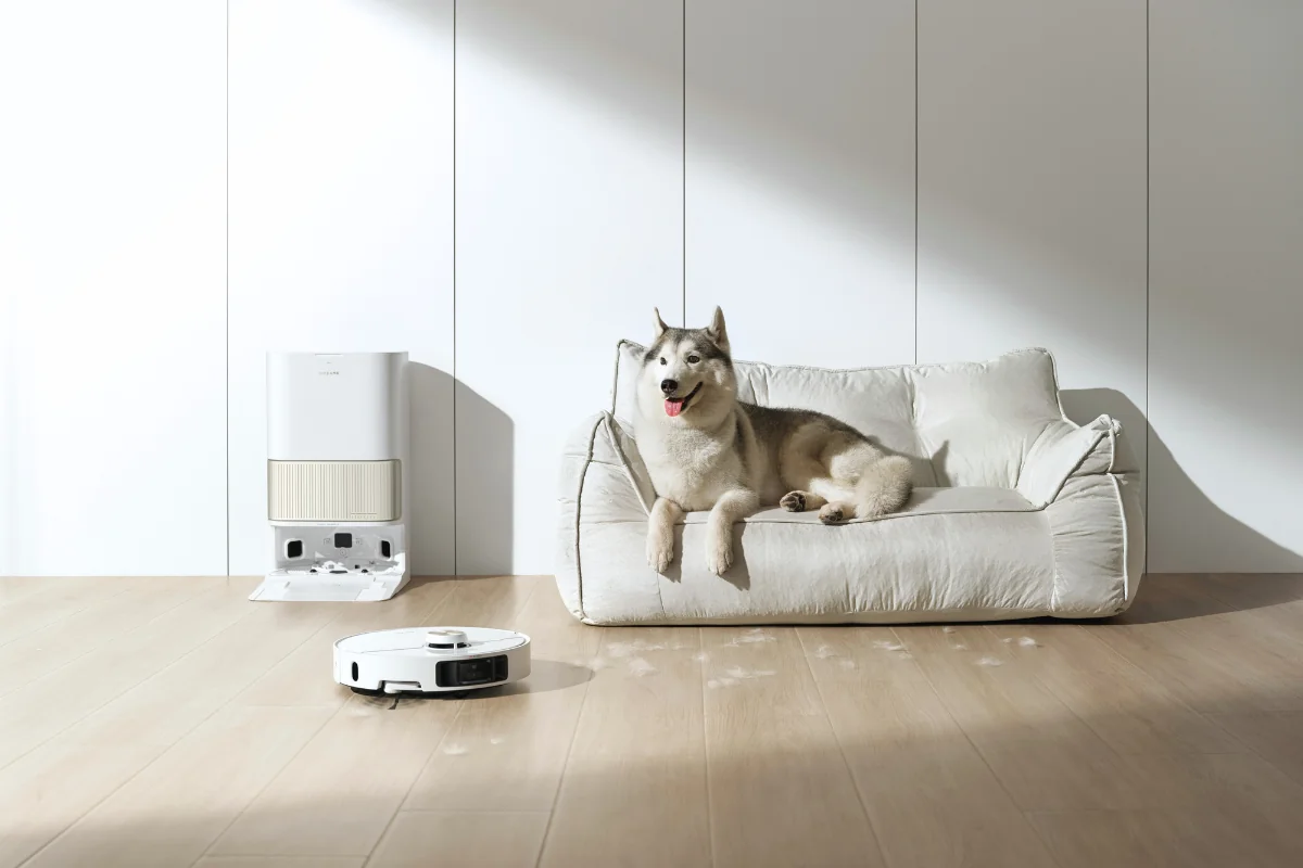 Dog on a white sofa with a robot vacuum cleaning pet hair from the floor