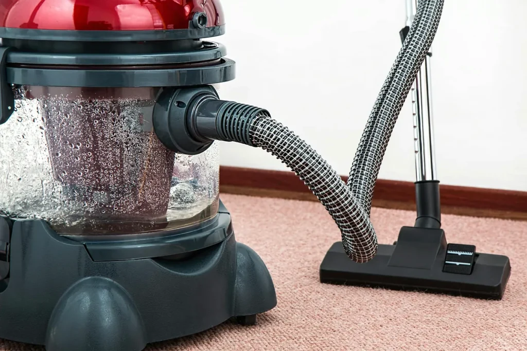 Canister vacuum cleaning hardwood floor near an area rug