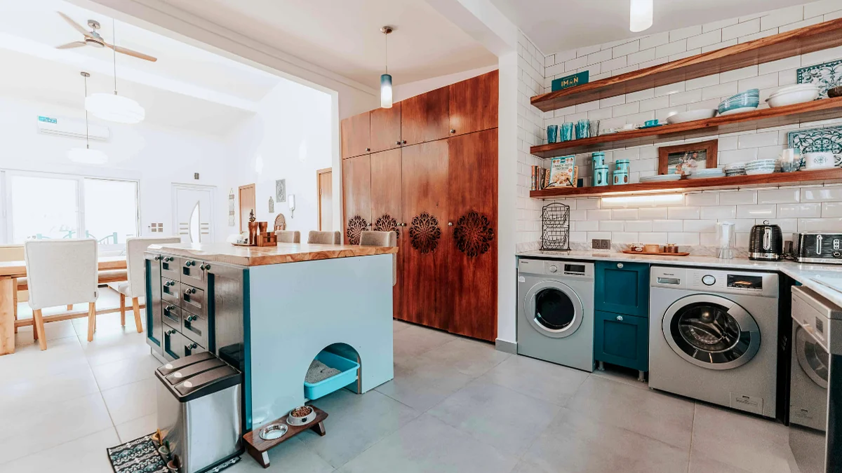 Dog room ideas for a clean and cozy pet space