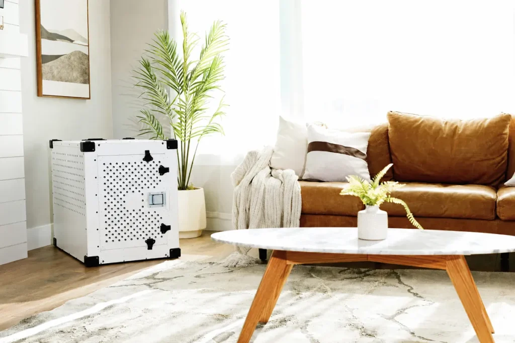 Puppy crate setup in a bright living room